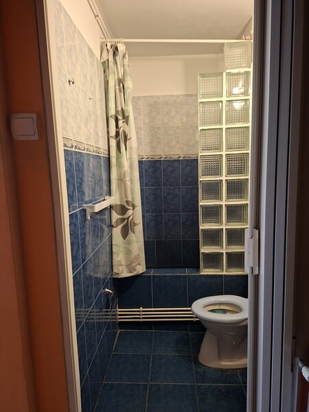 Lucretiu Patrascanu,